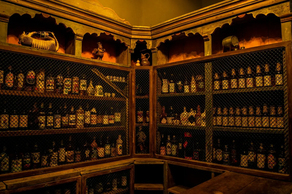 A Beginner's Guide to Collecting Curiosities: Oddities, Natural History and Ethical Buying